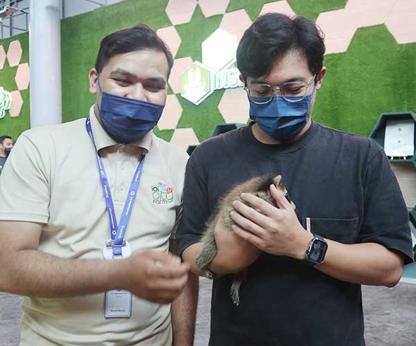 Bean Sprout Planting IOI City Farm