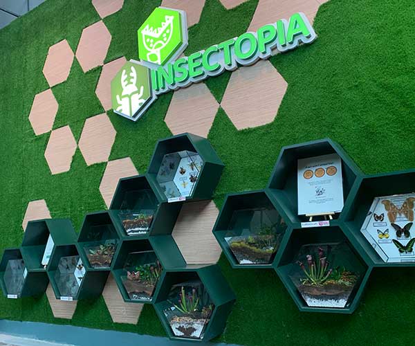 ioicityfarm-insetopia-01