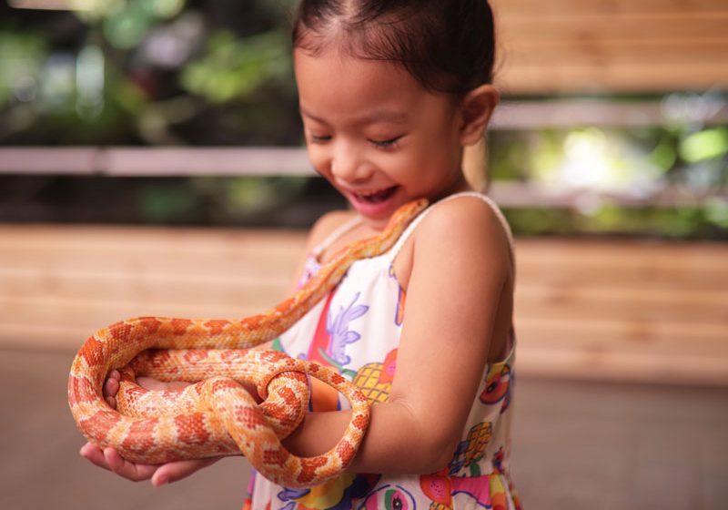Kids-with-snake