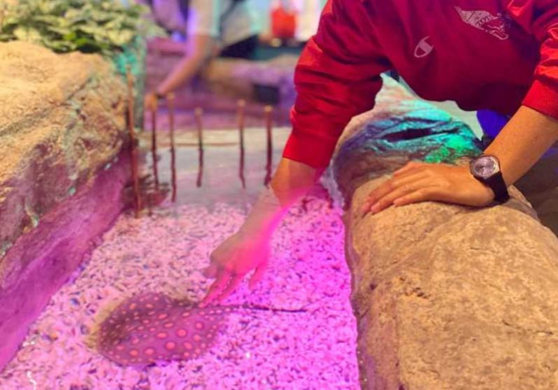 ioicityfarm-touch-tank-3